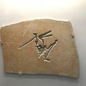 Meet your Posher, Victor